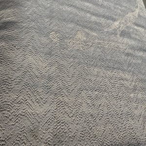 Alfombra Surya Nestline 64566 color blanco - 160 x 220
